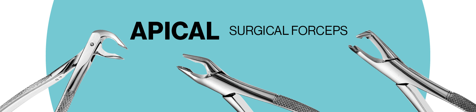 Apical | Surgical Forceps