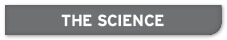 thescience