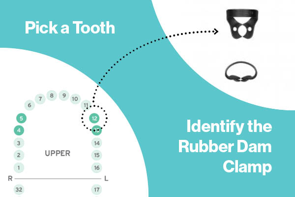 Rubber Dam Clamp, the perfect fit