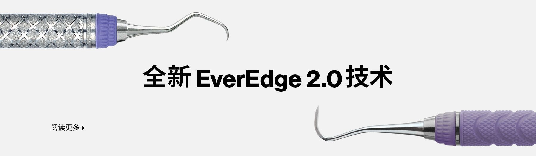EverEdge 2.0