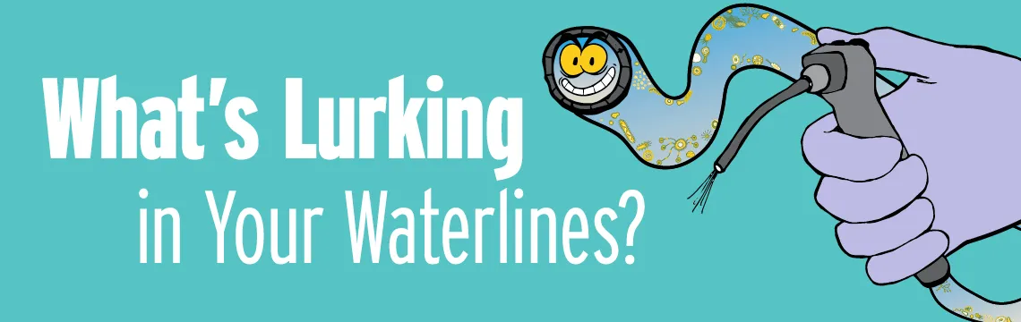 Dental waterlines bacterial metropolis