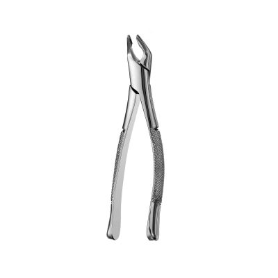 151 Apical Forceps