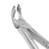 Diamond Dusted Lower 1st and 2nd Molars Forceps used to extract teeth from the alveolar bone. A light diamond coating allows for 20% greater grip as compared to traditional forceps.